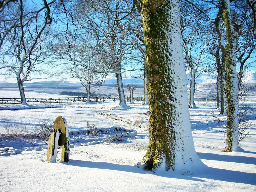 Grisdale View * Penrith